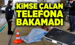 Kimse çalan telefona bakamadı!