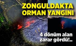 Zonguldak'ta orman yangını! 4 dönüm alan zarar gördü