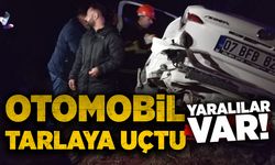 Otomobil tarlaya uçtu: Yaralılar var!