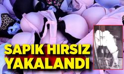 Sapık hırsız yakalandı! Girdiği evlerden kadın iç çamaşırı çaldığı ortaya çıktı