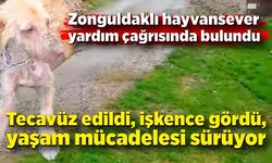 Zonguldak’ta tecavüz edildi, işkence gördü, yaşam mücadelesi sürüyor! Desteğe ihtiyaç var!