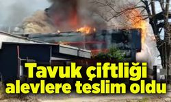 Tavuk çiftliği alevlere teslim oldu