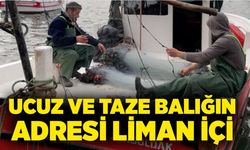 Ucuz ve taze balığın adresi liman içi