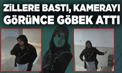 Zillere bastı, kamerayı görünce göbek attı