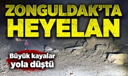 Zonguldak'ta heyelan: Büyük kayalar yola düştü