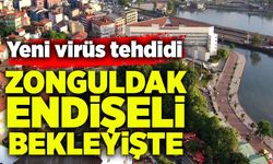 Yeni virüs tehdidi: Zonguldak endişeli bekleyişte