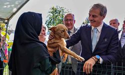 Sokak Hayvanları Doğal Yaşam Kampüsü için ihaleye çıkılıyor