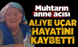 Aliye Uçar hayatını kaybetti