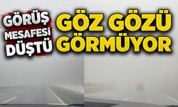 Ereğli yolunda yoğun sis! Görüş mesafesi düştü