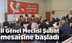 İl Genel Meclisi Şubat mesaisine başladı