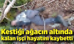 Kestiği ağacın altında kalan işçi hayatını kaybetti