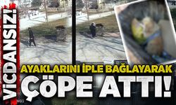 Vicdansız: Ayaklarını iple bağlayarak çöpe attı!