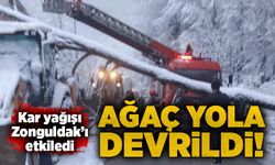 Kar yağışı Zonguldak'ı etkiledi: Ağaç yola devrildi