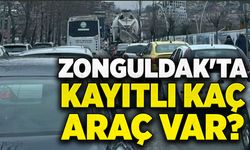 Zonguldak'ta kaç tane araç var!
