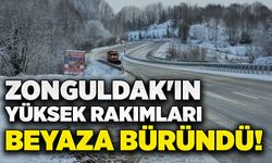 Zonguldak'ın yüksek rakımları beyaza büründü!