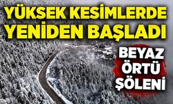 Yüksek kesimlerde yeniden başladı: Beyaz örtü şöleni