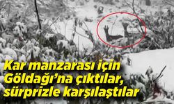 Kar manzarası için Göldağı’na çıktılar, sürprizle karşılaştılar