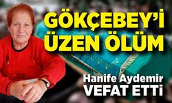 Gökçebey’i üzen ölüm: Hanife Aydemir vefat etti