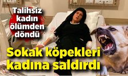 3 köpeğin saldırısına uğrayan kadın yaralandı