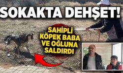 Sokakta dehşet! Sahipli köpek baba ve oğluna saldırdı