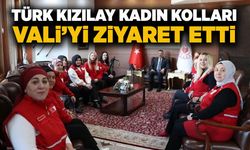 Türk Kızılay Kadın Kolları Vali’yi ziyaret etti