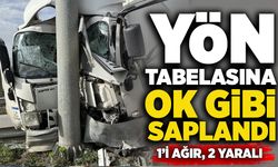 Kamyonet yön tabelasına ok gibi saplandı: 1’i ağır, 2 yaralı