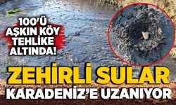 Zehirli sular, Karadeniz’e uzanıyor: 100'ü aşkın köy tehlike altında!