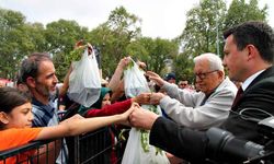 Kdz. Ereğli Ata Tohumuna koştu