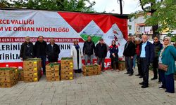 Yüzde 75’i bakanlık destekli fideler çiftçilere dağıtıldı