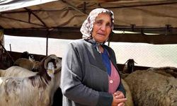Sürüsünü kurtlara kaptıran kadın gözyaşlarını tutamadı: "Hepsi evladım gibiydi"