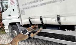 Narkotik köpeği tepki verdi, klimaların arasından binlerce uyuşturucu çıktı