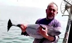 Ağlara değil, kalplere takıldı: Yunusu kurtarıp esprili sözlerle uğurladı