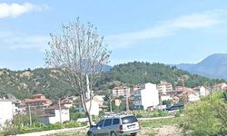 Kastamonu’da otomobil ağaca çarptı: 2 yaralı