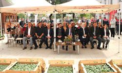 Atıl tarım arazilerinde sebze yetişecek