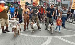 Profesyonel avcılar Devrek'te buluştu
