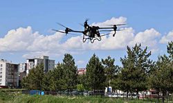 Kene kabusuna dronlu önlem