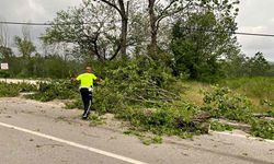Bartın'da şiddetli fırtınada ağaçlar devrildi