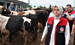 Düzce’de Kurban Bayramı öncesi sıkı denetim