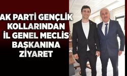 AK Parti Gençlik Kollarından İl Genel Meclis Başkanına ziyaret