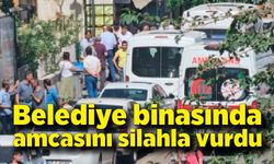 Belediye binasında tartıştığı amcasını silahla vurdu