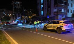 Hafif ticari araç anne ve kızına çarptı