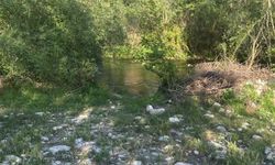 Balık avlarken akıma kapılan kişi hayatını kaybetti