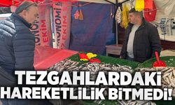 Balık sezonu bitti, tezgahlardaki hareketlilik bitmedi!