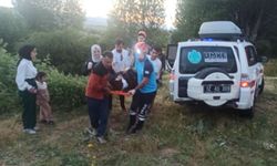 Bingöl’de otomobil uçuruma yuvarlandı: 2 yaralı