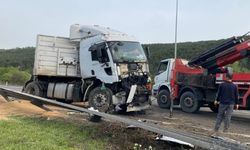 Sürücüsünün uyuduğu iddia edilen buğday yüklü tır devrildi