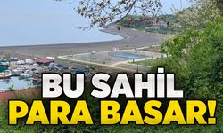 Bu sahil para basar!