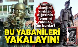 Bu yabanileri yakalayın!