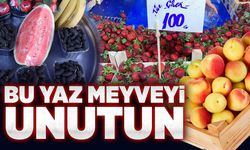 Bu yaz meyveyi unutun