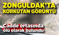 Kozlu’da korkutan görüntü: Cadde ortasında ölü olarak bulundu