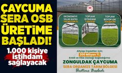 Çaycuma Sera OSB üretime başladı! 1.000 kişiye istihdam sağlayacak